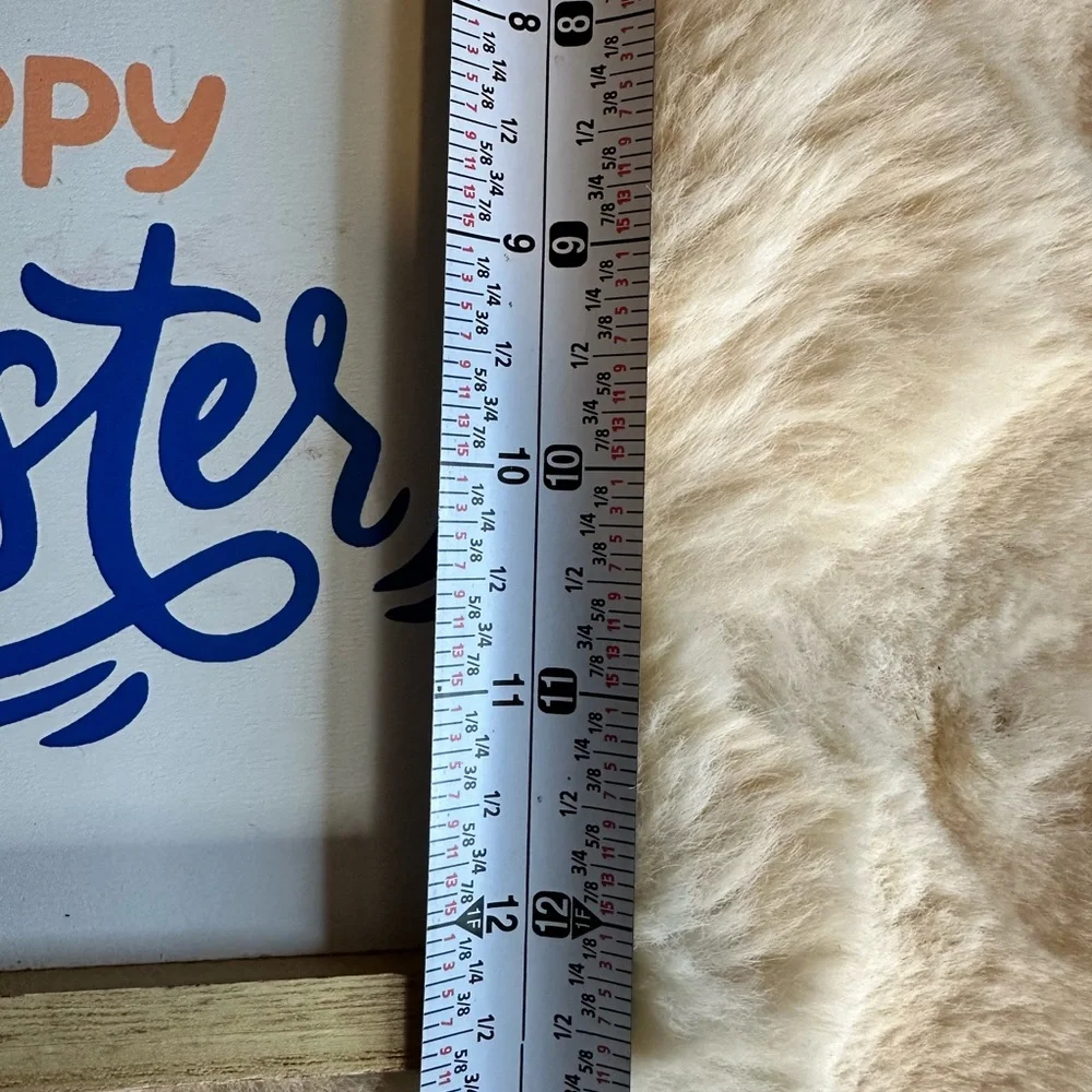 Easter Carrot Banner Pillow and Hanging Signs - White and Orange